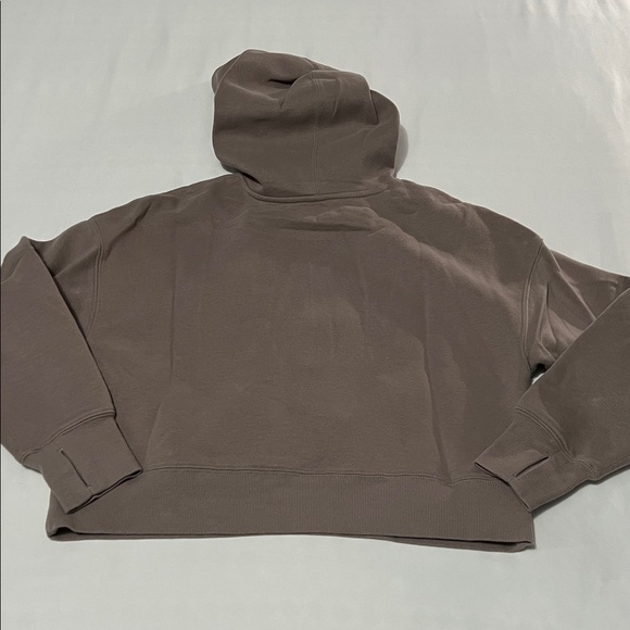 Harmony Balance Taupe Cropped Hoodie with Thumbhole Sleeves - Picture 2 of 4